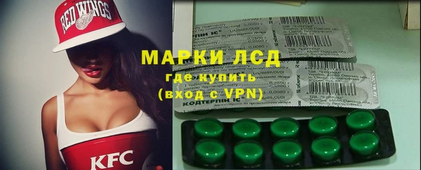 хмурый Сатка