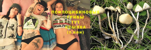 кокаин перу Белокуриха